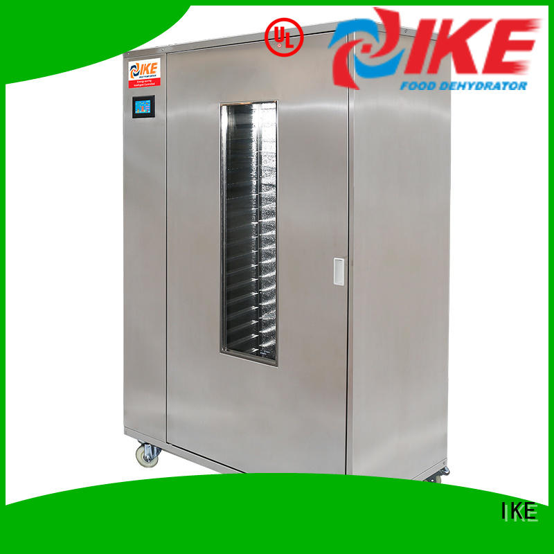 WRH-100G High Temperature Commercial Meat Dryer Oven Machine