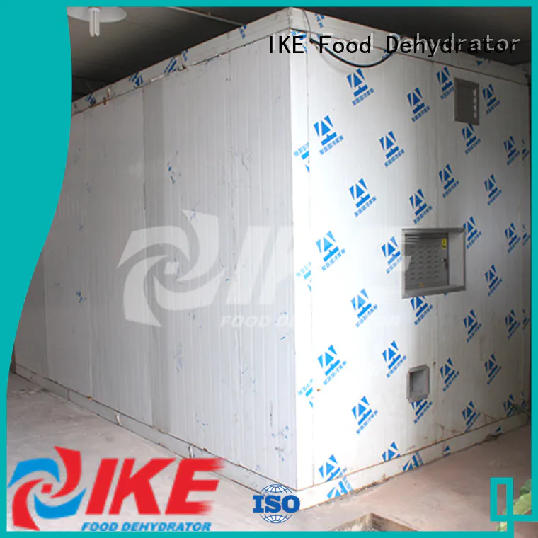 IKE professional industrial dryer machine drying for vegetable