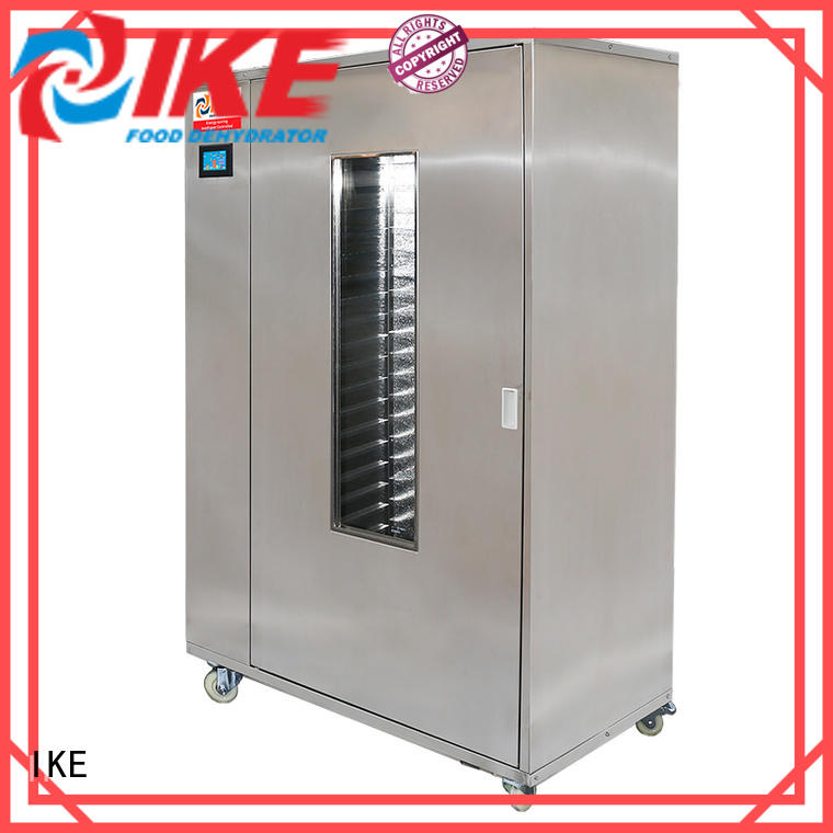 industrial food dehydrator allinone pump IKE