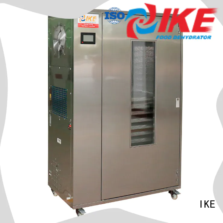 leave food dehydrator jerky chinese for oven IKE