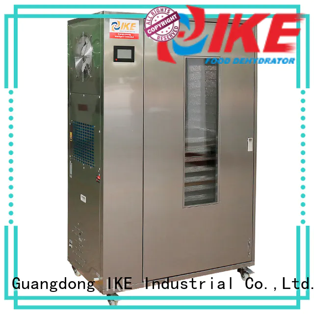 IKE low-noise large dehydrator for oven