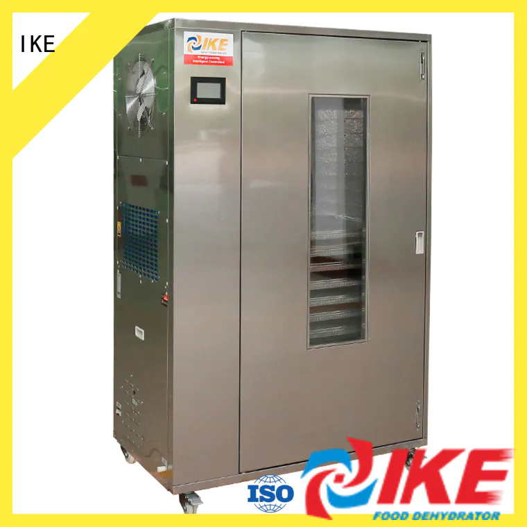 IKE dehydrate in oven temperature for meat