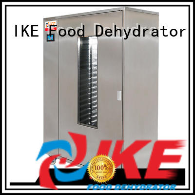 system food dehydrator machine researchtype for leave IKE