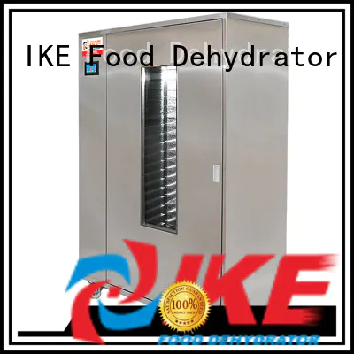 system food dehydrator machine researchtype for leave IKE