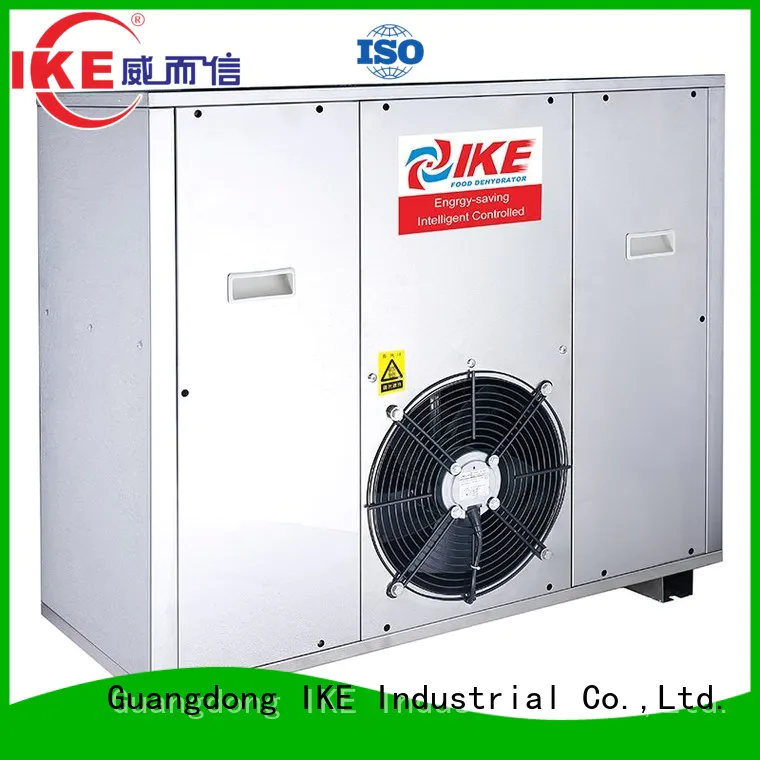 dryer commercial middle food dehydrator machine IKE