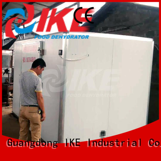 IKE commercial food dryer machine anti-temperature for drying