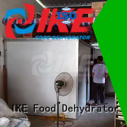 hot air dryer machine dryer equipment for vegetable IKE