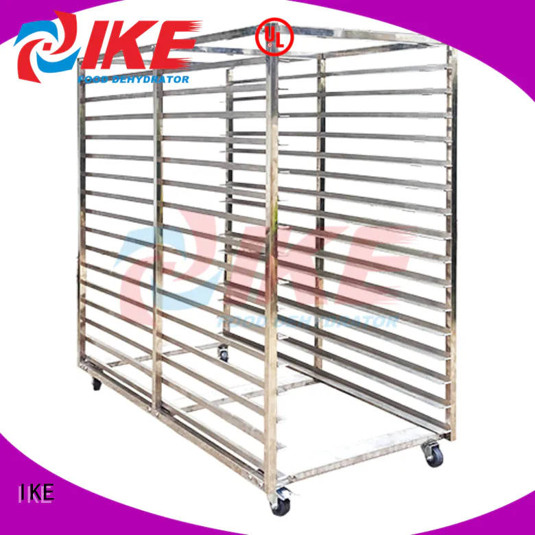 panel dehydrator accessories rack for fruit IKE