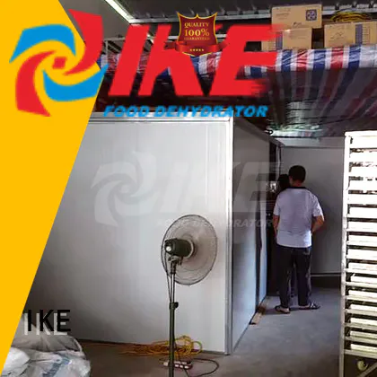 IKE commercial commercial food dehydrator top-selling for vegetable