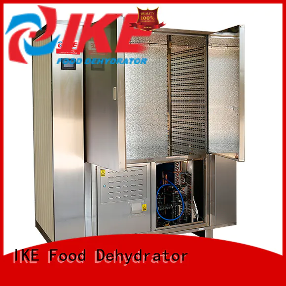dehydrator machine for food dehydrator pump IKE