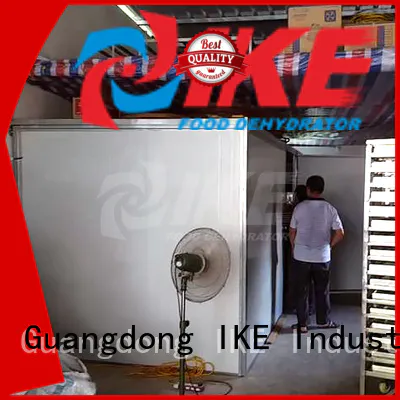 IKE professional commercial food dryer machine dryer equipment for beef