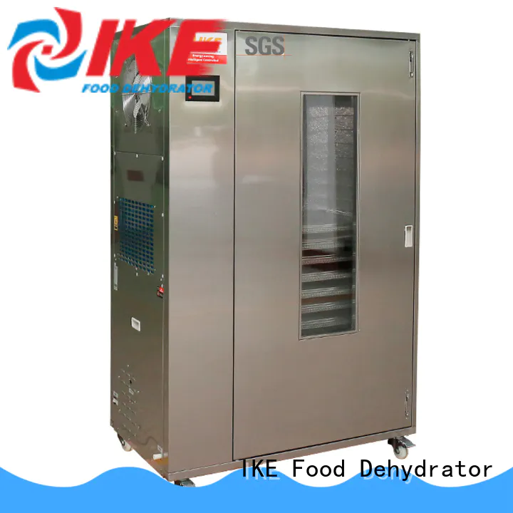 food dehydrator machine steel pump IKE