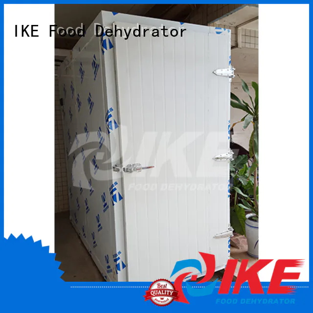 professional professional food dehydrator dehydrator fruit IKE