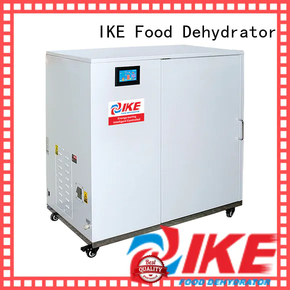 IKE low-noise large dehydrator multifunctional system for leave