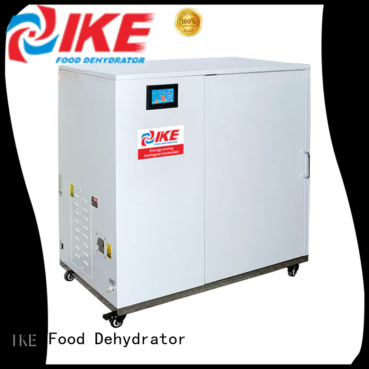 dehydrate in oven fruit stainless commercial food dehydrator chinese company