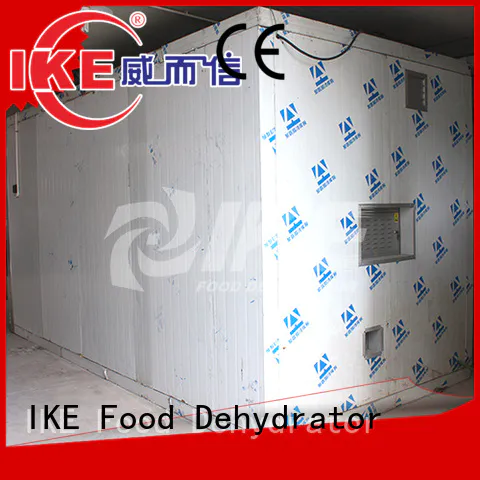 IKE electric best dehydrator australia digital for beef