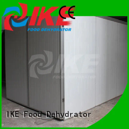 IKE stainless steel drying chamber dryer equipment for dehydrating