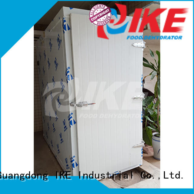 IKE commercial dehydrator machine dryer equipment for vegetable