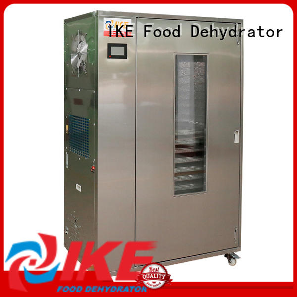 IKE precious dryer oven machine temperature for herbs