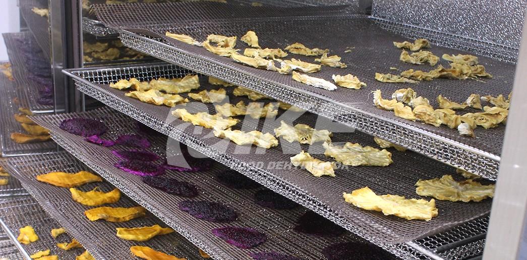IKE-Manufacturer Of Drying Net Teflon Mesh Screen For Food Dehydrator-2