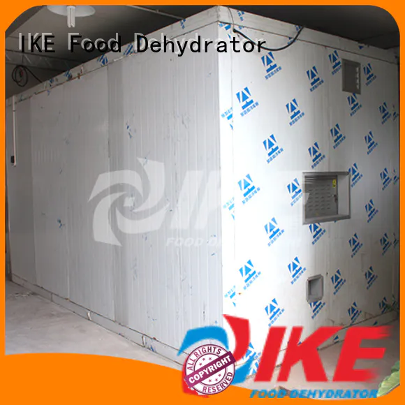 professional food dehydrator industrial for drying IKE