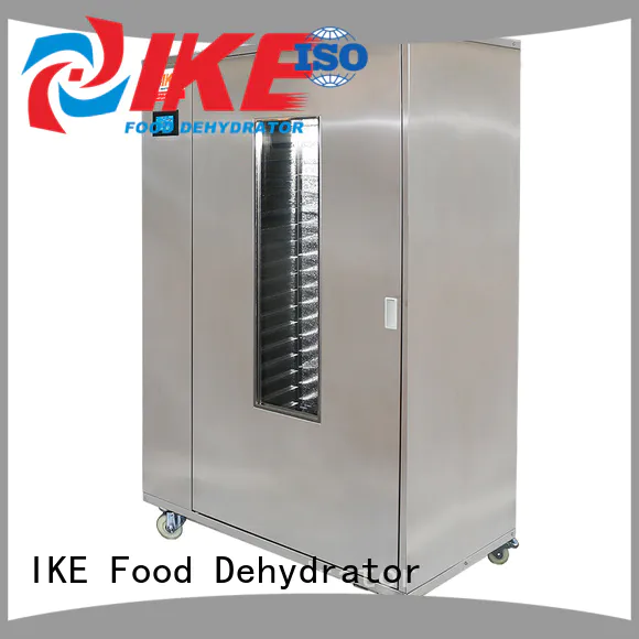 dehydrator fruit and vegetable dryer machine adjustable heat IKE