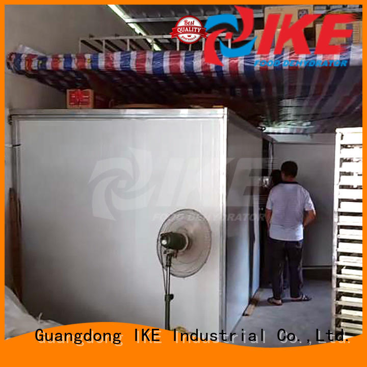 low grade middle professional food dehydrator IKE manufacture