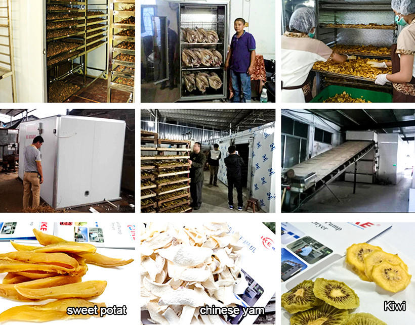 IKE industrial commercial food dryer machine dryer equipment for vegetable-2