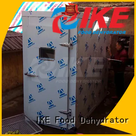 IKE commercial food dryer machine high-performance for dehydrating