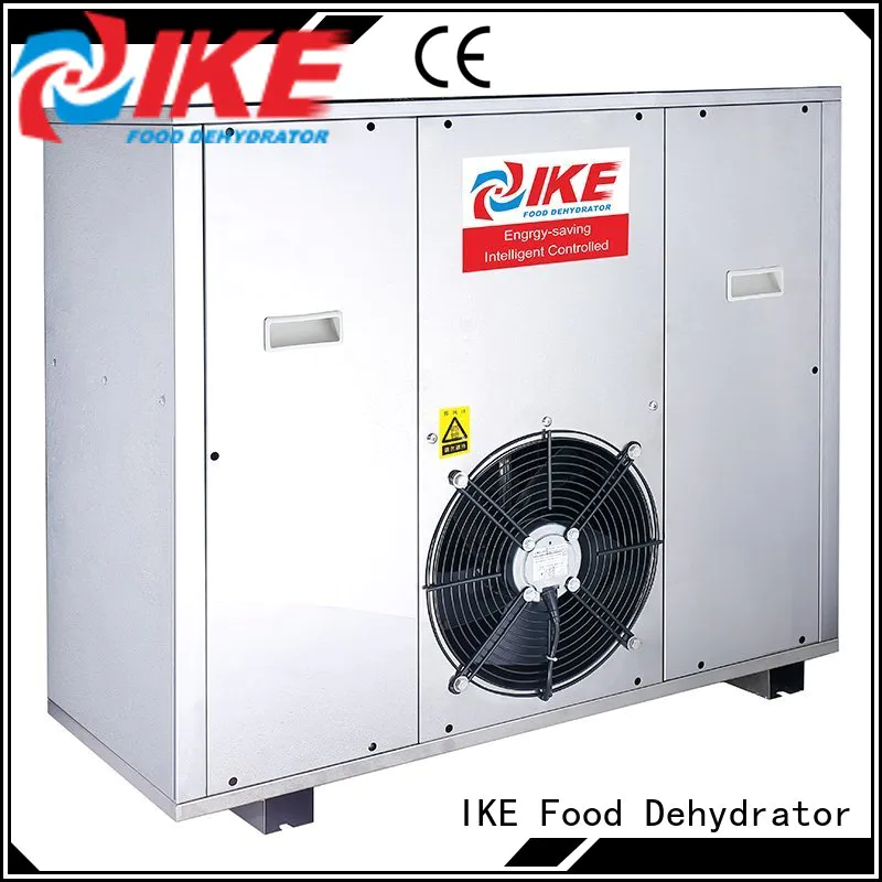 IKE electric best affordable dehydrator machine for drying