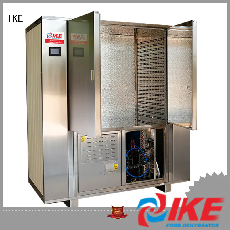 precious cabinet dryer for food middle pump IKE