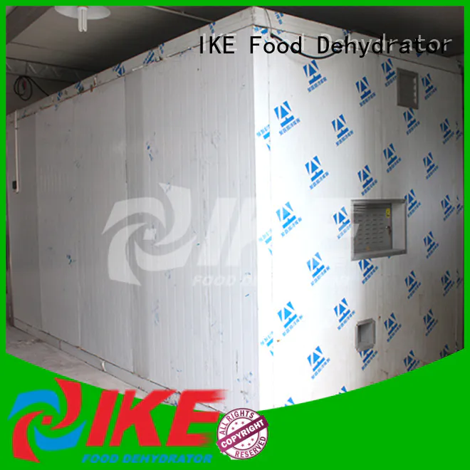 IKE dehydrator machine middle for food