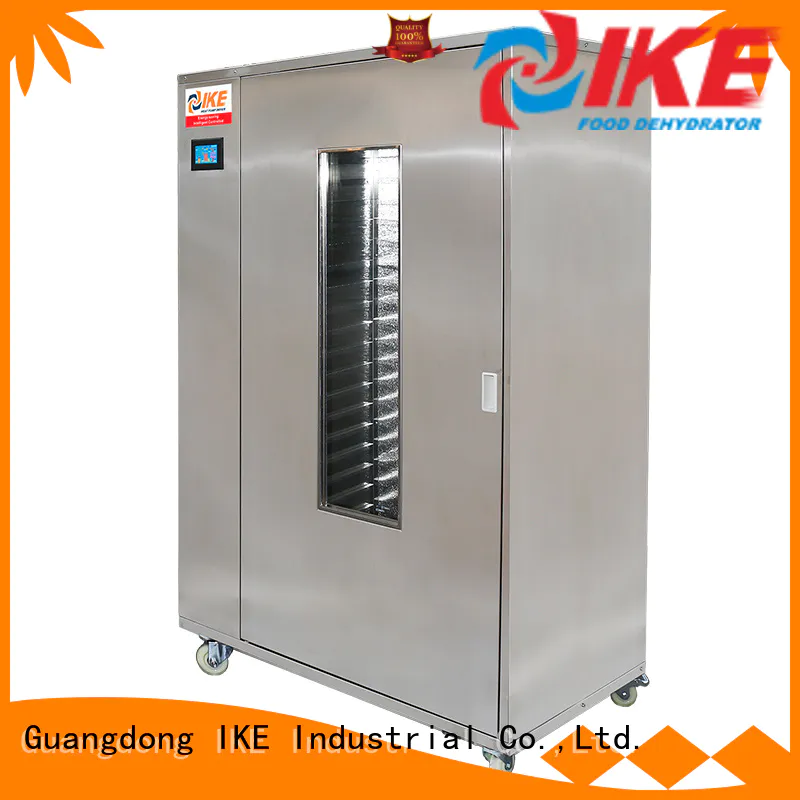 IKE meat dehydrator low-noise for oven